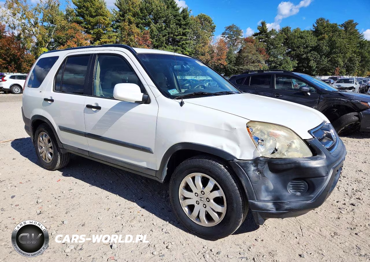 2005 Honda Cr-V Ex VIN:SHSRD78885U337709 - 4