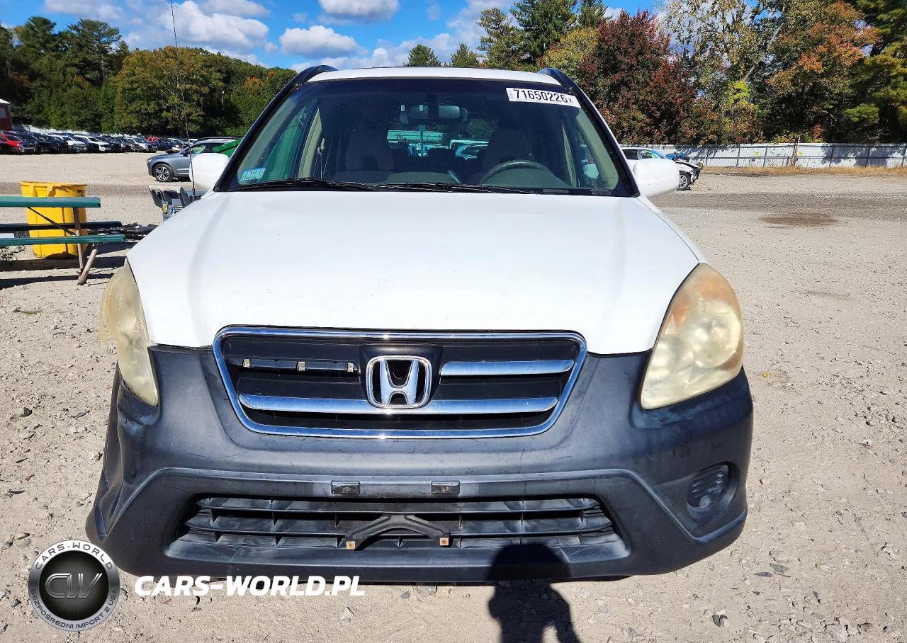 2005 Honda Cr-V Ex VIN:SHSRD78885U337709 - 5