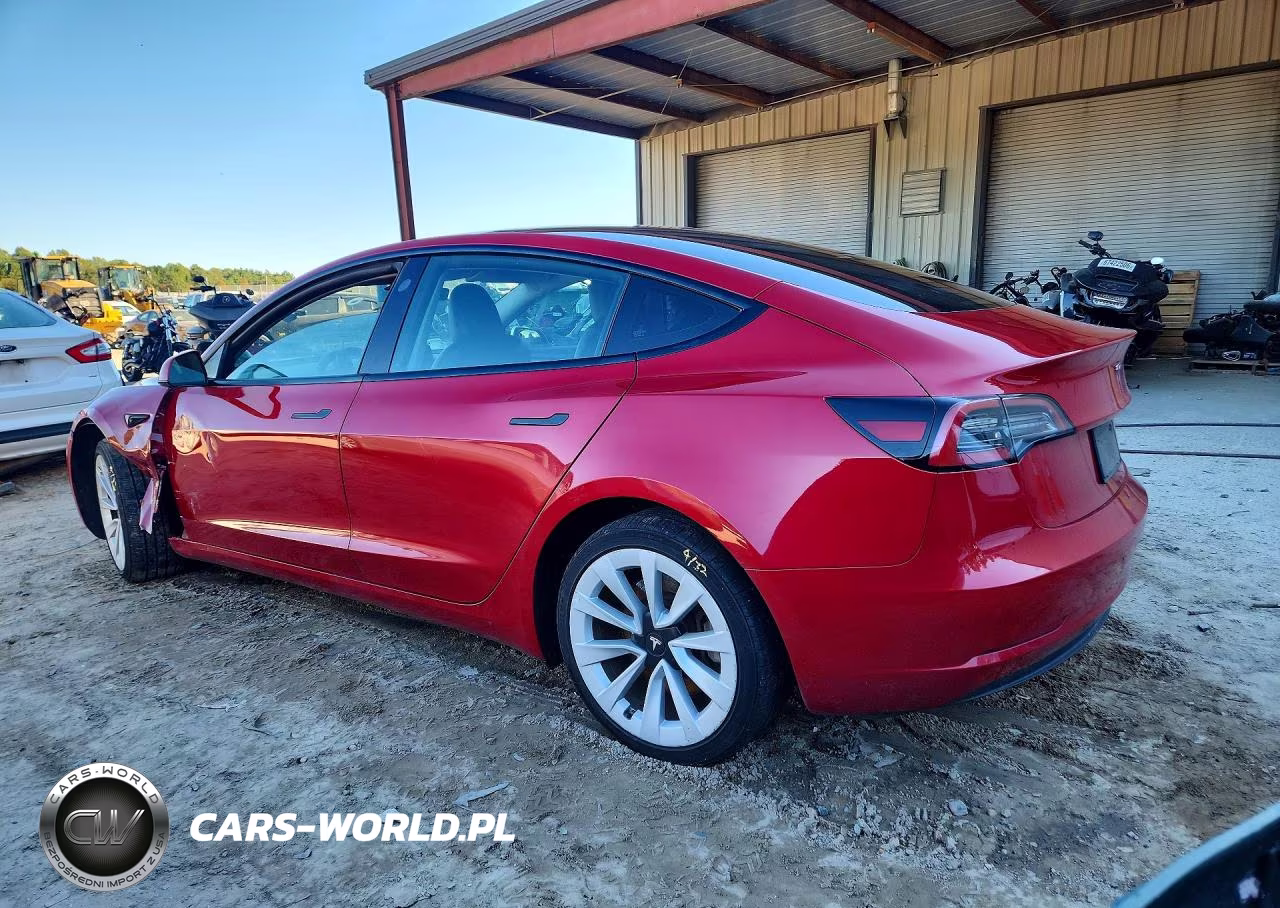 2023 Tesla Model 3 VIN:5YJ3E1EA7PF436443 - 2