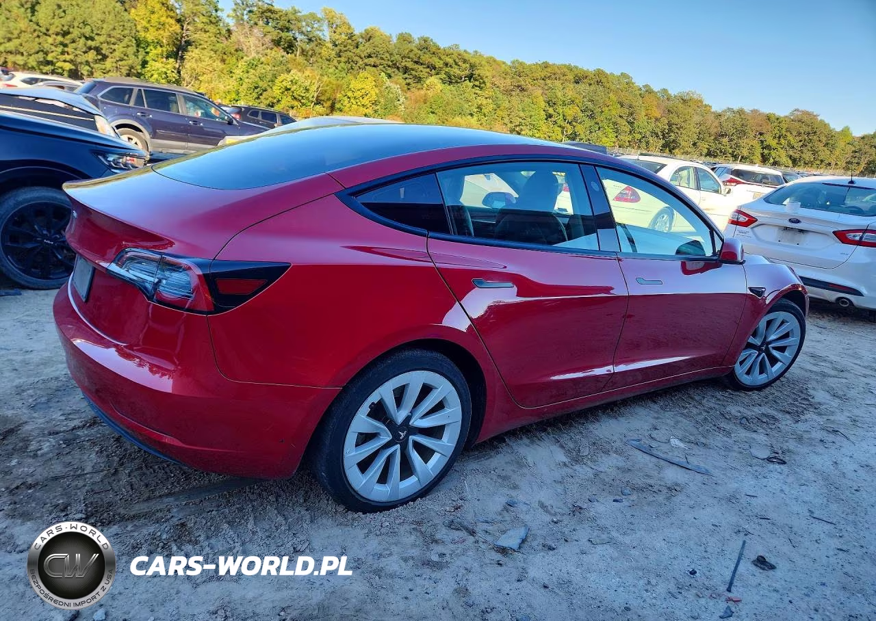 2023 Tesla Model 3 VIN:5YJ3E1EA7PF436443 - 3