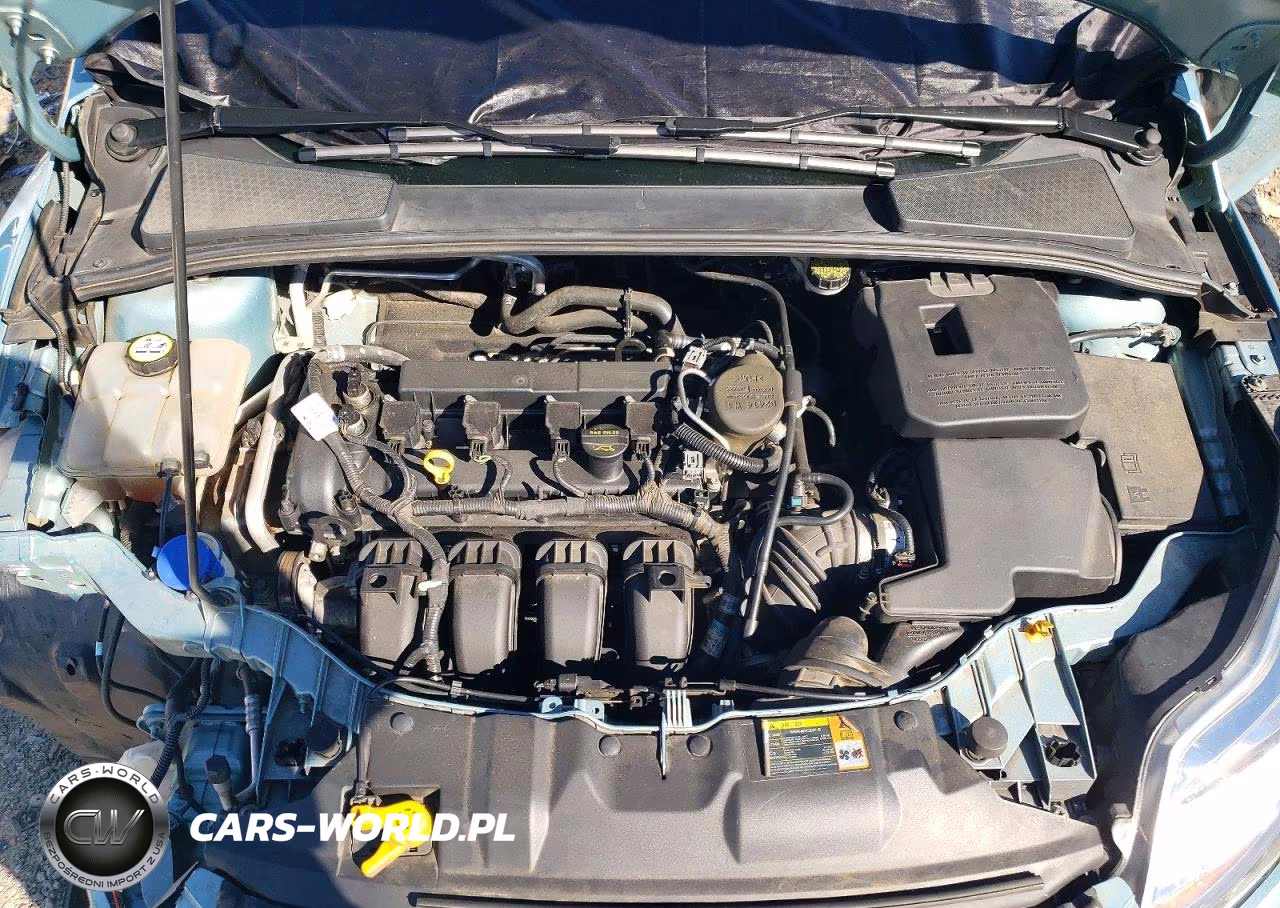 2012 Ford Focus Sel VIN:1FAHP3M21CL200115 - 12