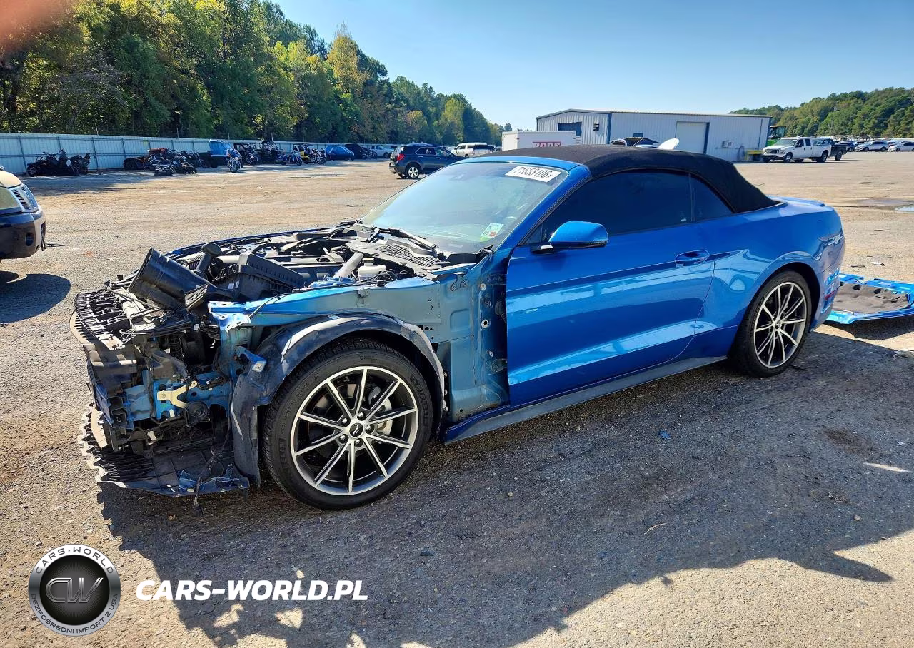 2019 Ford Mustang – zdjęcie 1 z 13