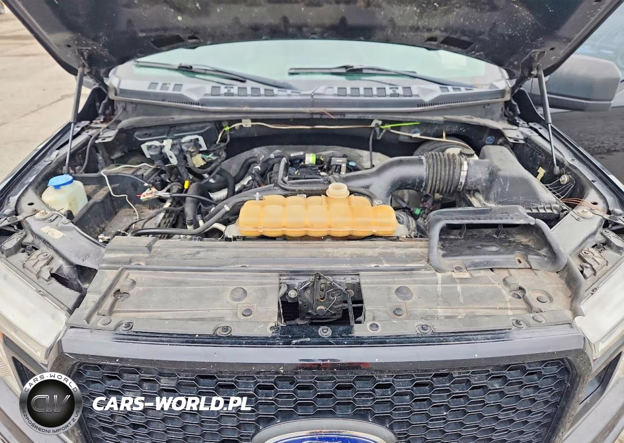 2019 Ford F150 Supercrew VIN:1FTEW1CP4KFA08086 - 11