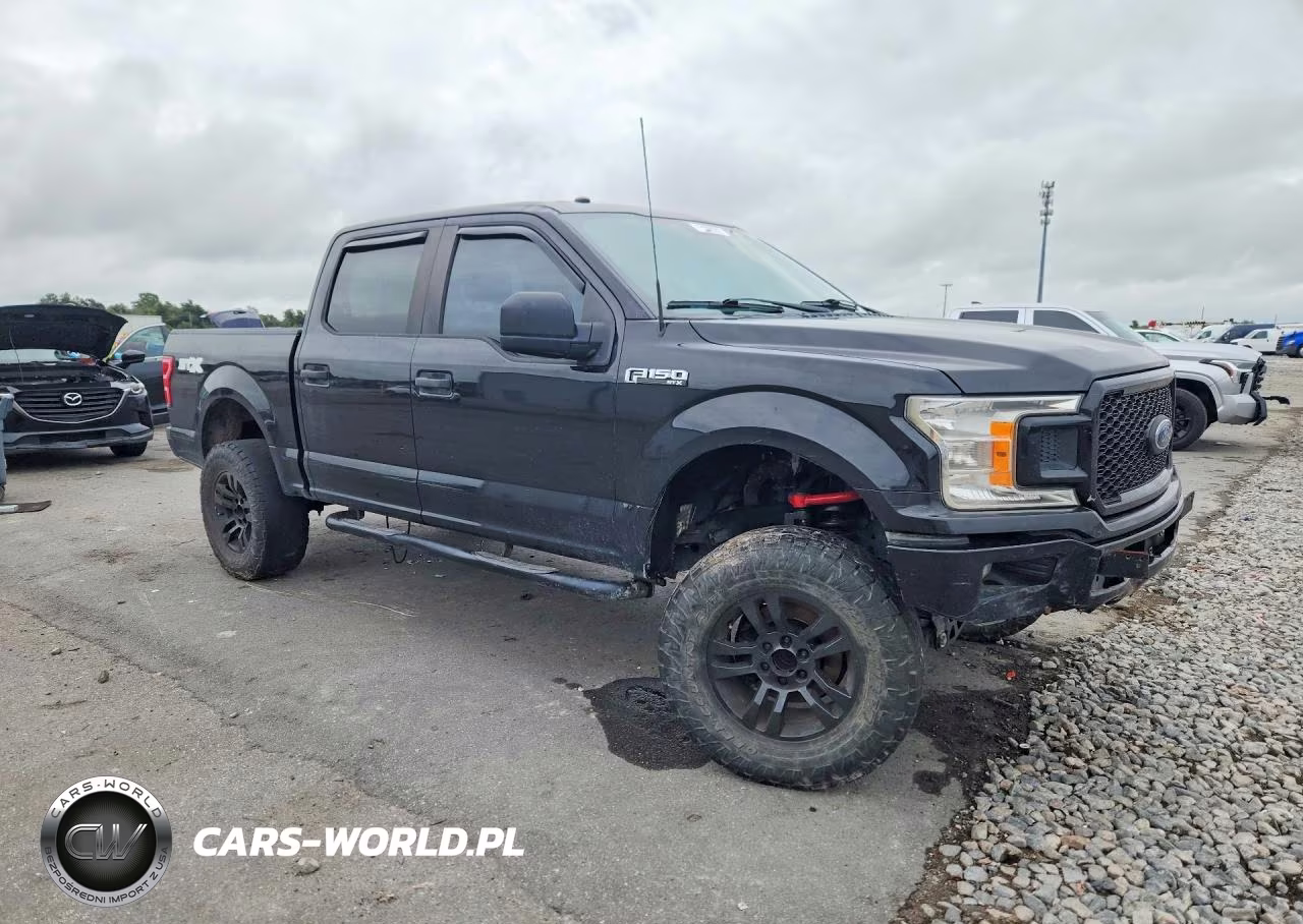 2019 Ford F150 Supercrew VIN:1FTEW1CP4KFA08086 - 4