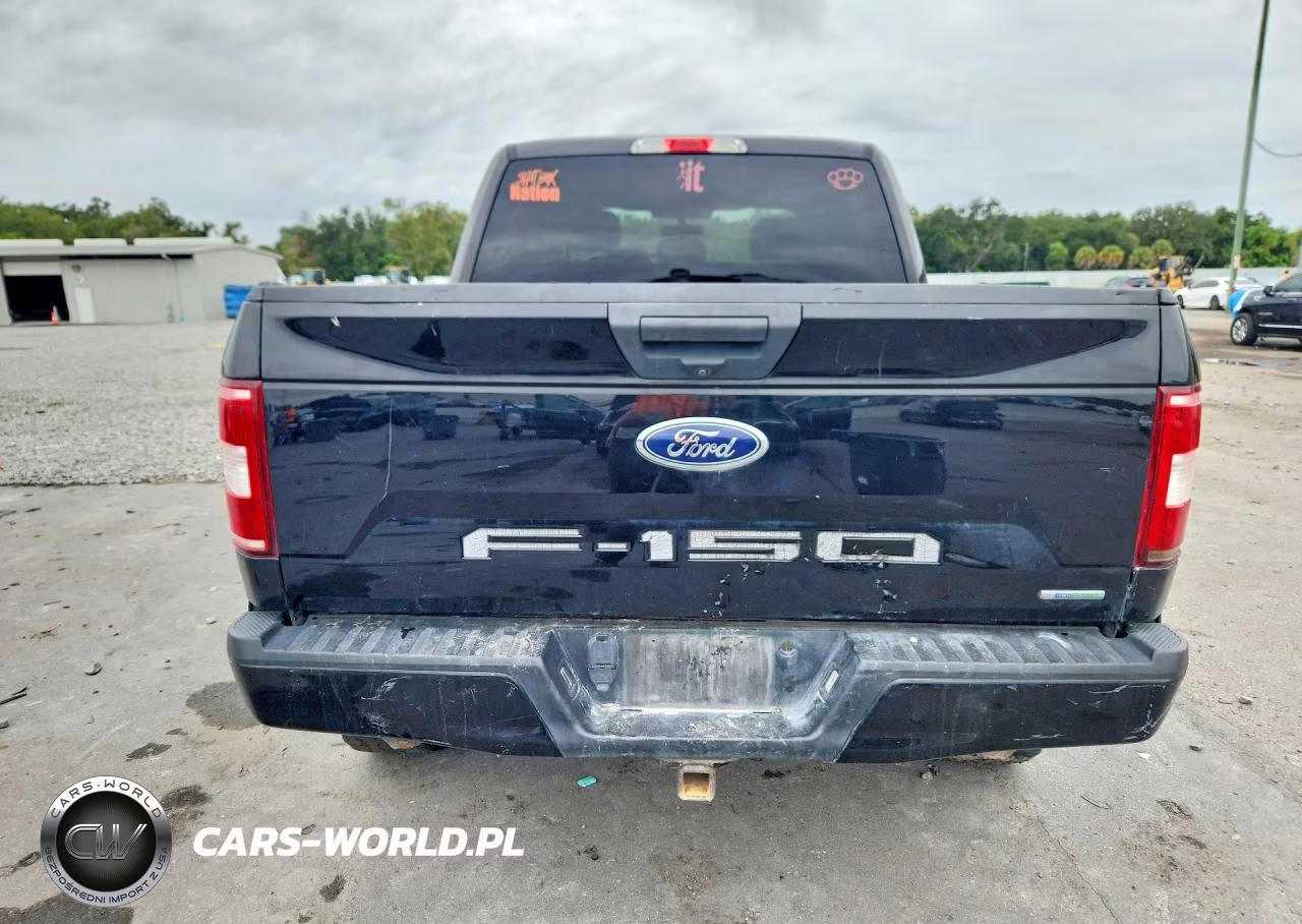 2019 Ford F150 Supercrew VIN:1FTEW1CP4KFA08086 - 6