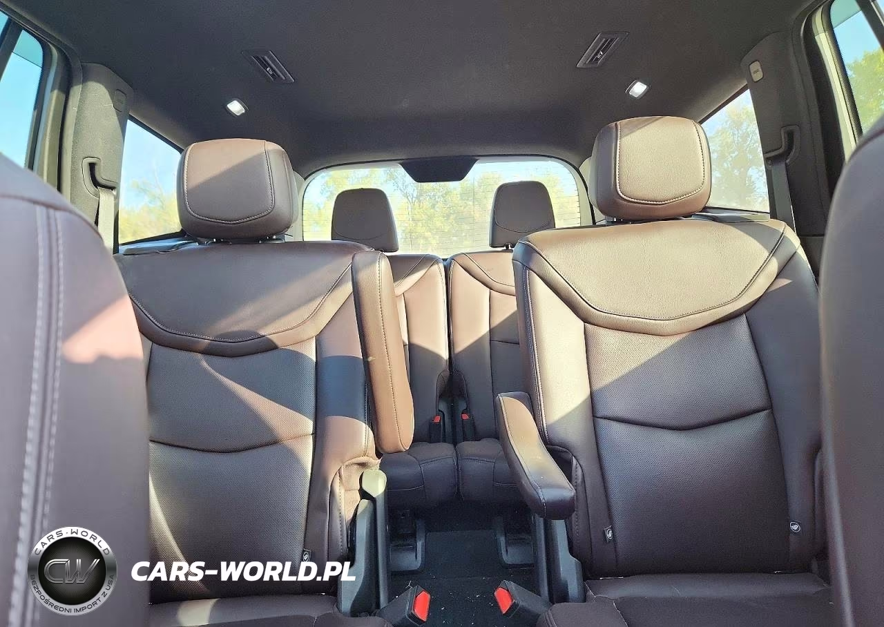 2023 Cadillac Xt6 Premium Luxury VIN:1GYKPDRS5PZ198560 - 10