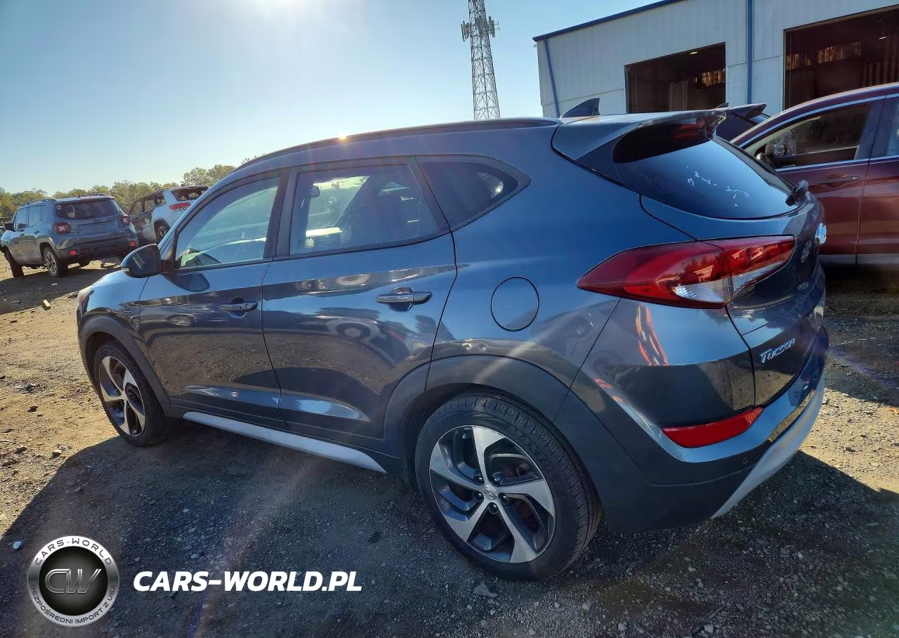 2018 Hyundai Tucson Value VIN:KM8J3CA27JU691773 - 2