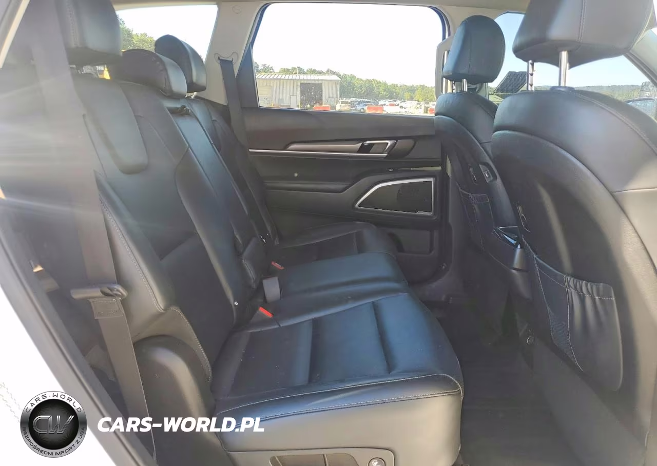 2022 Kia Telluride Lx VIN:5XYP2DHCXNG202182 - 11