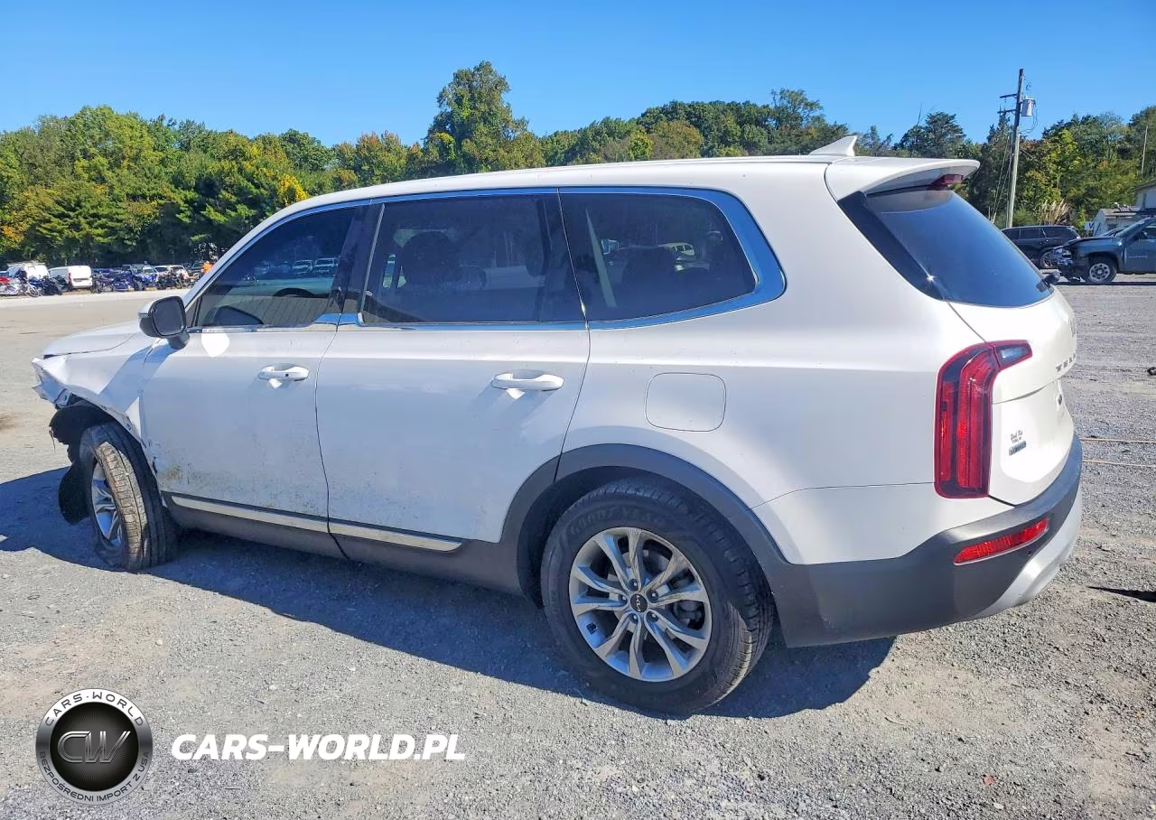 2022 Kia Telluride Lx VIN:5XYP2DHCXNG202182 - 2