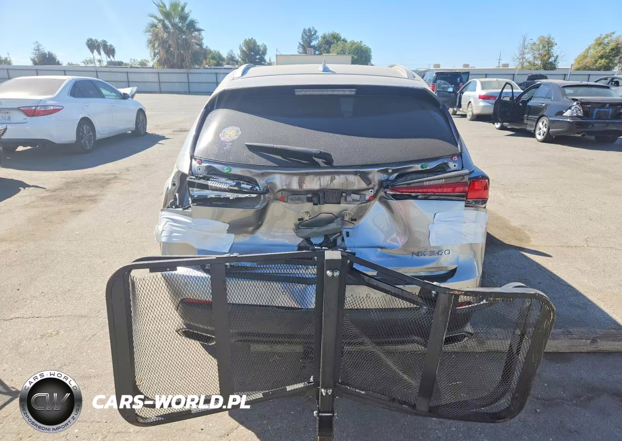 2018 Lexus Nx 300 Base VIN:JTJYARBZXJ2110363 - 6