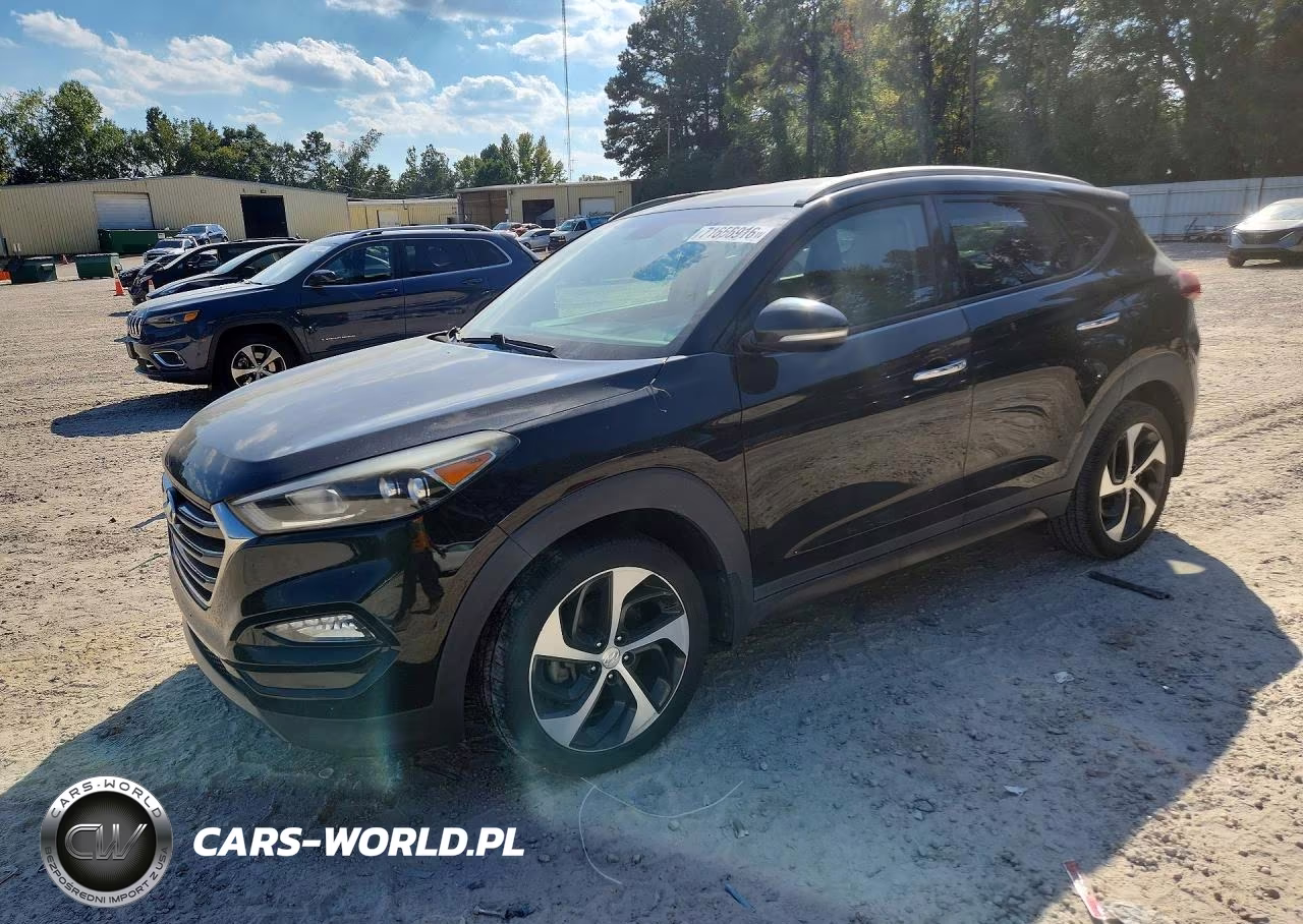 2016 Hyundai Tucson Limited VIN:KM8J33A29GU149258 - 1