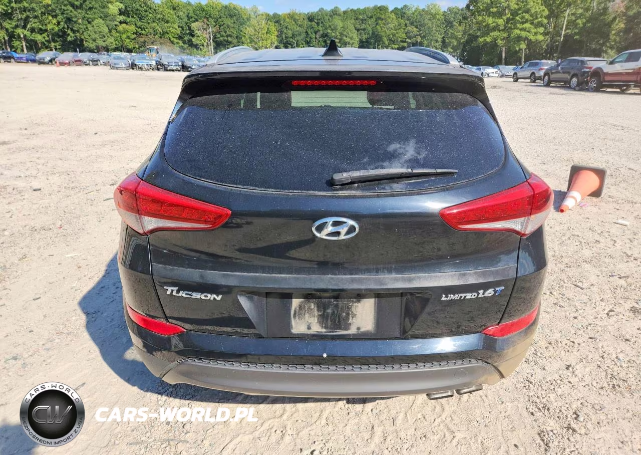 2016 Hyundai Tucson Limited VIN:KM8J33A29GU149258 - 6