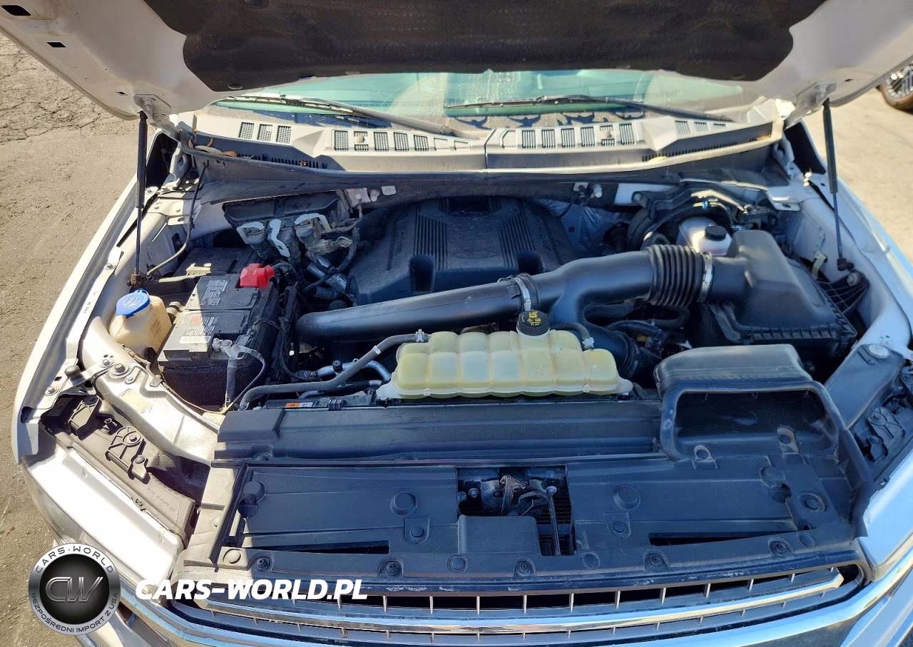 2020 Ford F150 Supercrew VIN:1FTFW1E44LFC69548 - 11