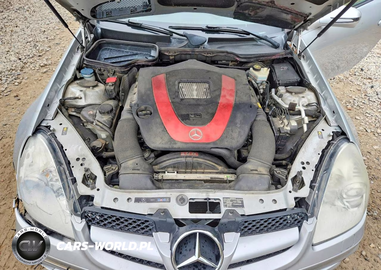 2009 Mercedes-Benz Slk 350 VIN:WDBWK58FX9F217851 - 11