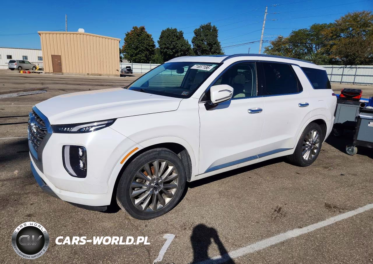 2020 Hyundai Palisade Limited VIN:KM8R5DHE6LU084950 - 1