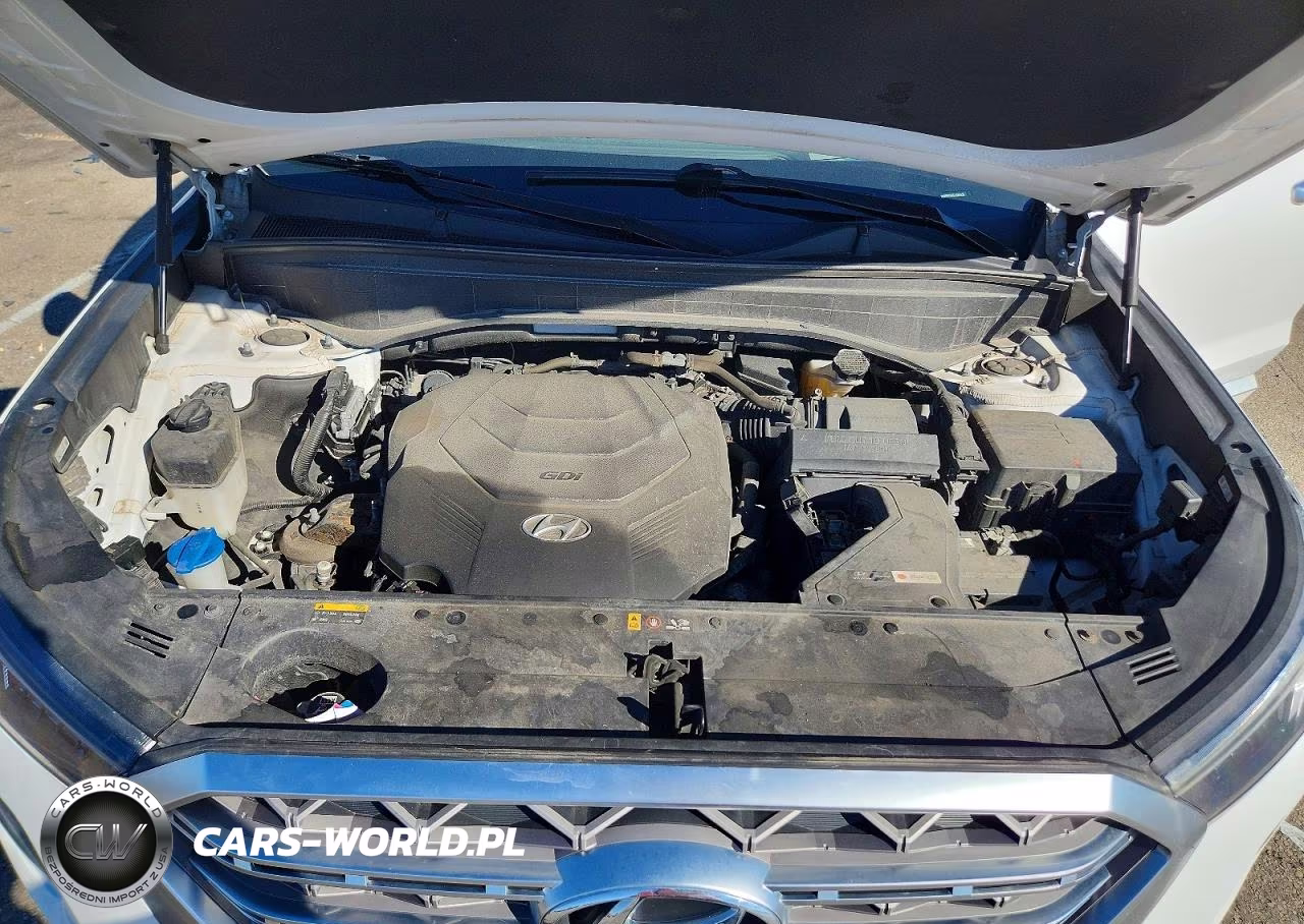 2020 Hyundai Palisade Limited VIN:KM8R5DHE6LU084950 - 12