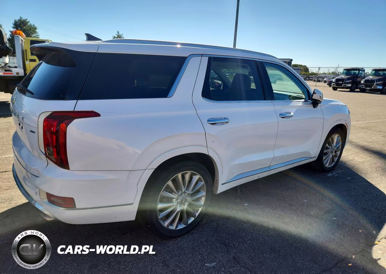 2020 Hyundai Palisade Limited VIN:KM8R5DHE6LU084950 - 3