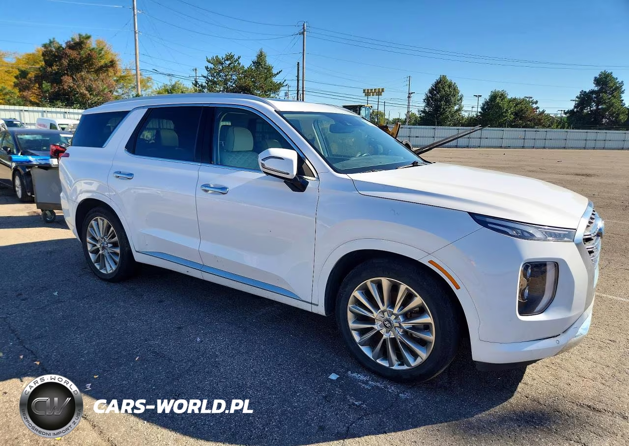 2020 Hyundai Palisade Limited VIN:KM8R5DHE6LU084950 - 4