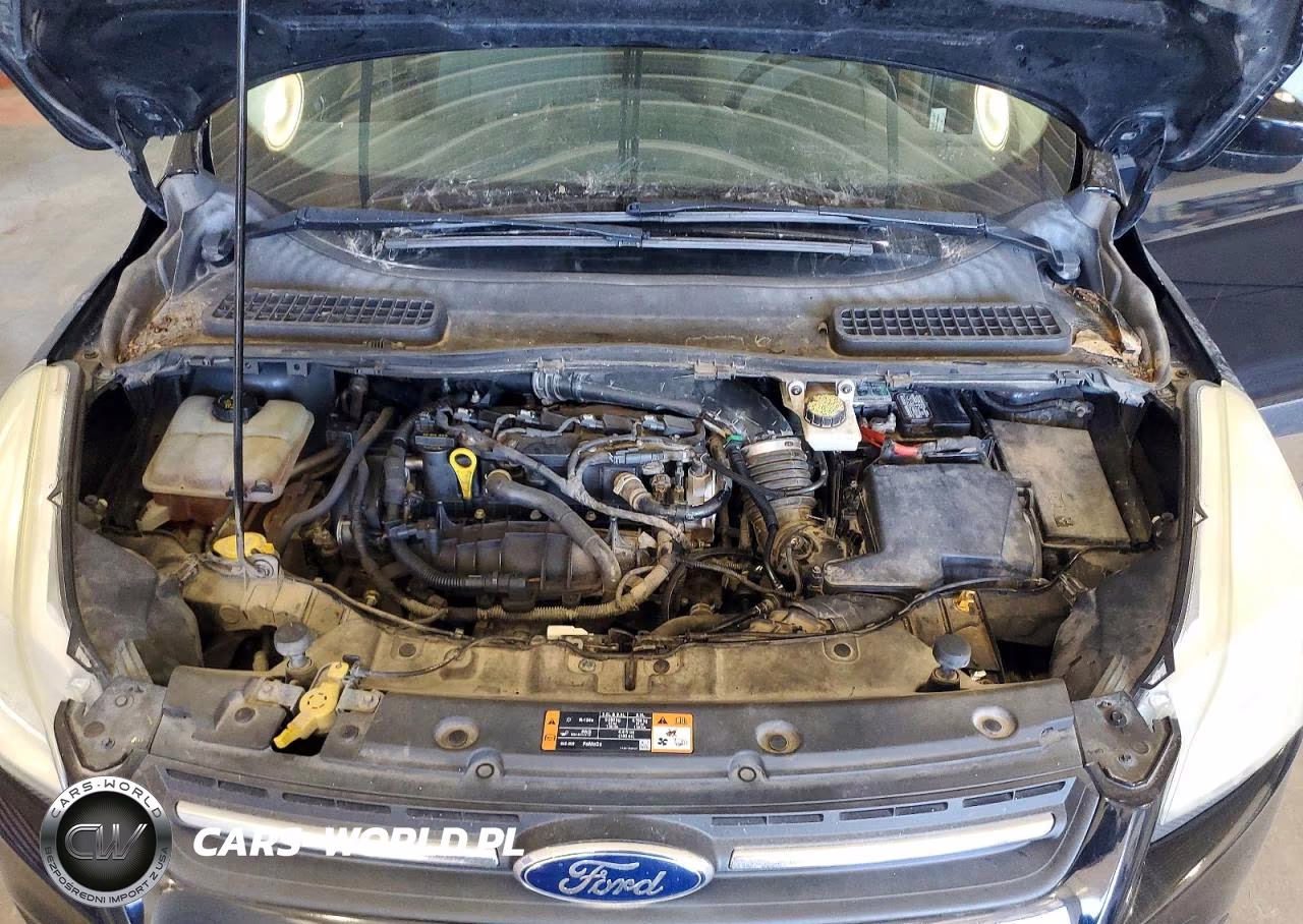 2016 Ford Escape Se VIN:1FMCU0GX6GUA10423 - 12