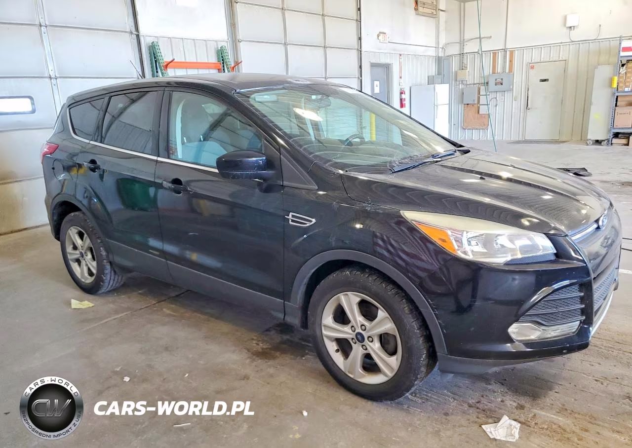 2016 Ford Escape Se VIN:1FMCU0GX6GUA10423 - 4
