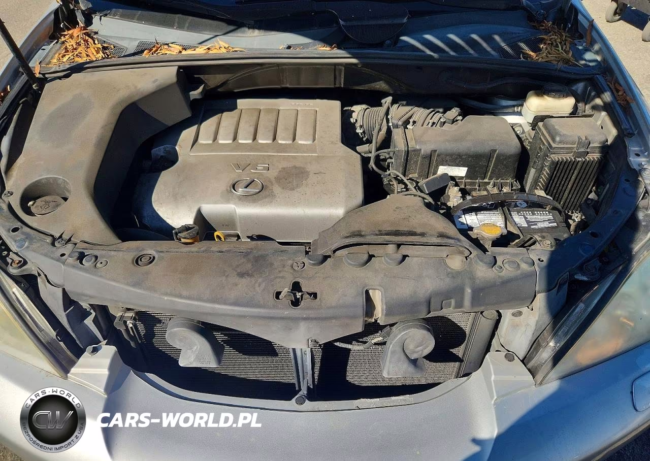 2009 Lexus Rx 350 VIN:2T2HK31U59C102361 - 11