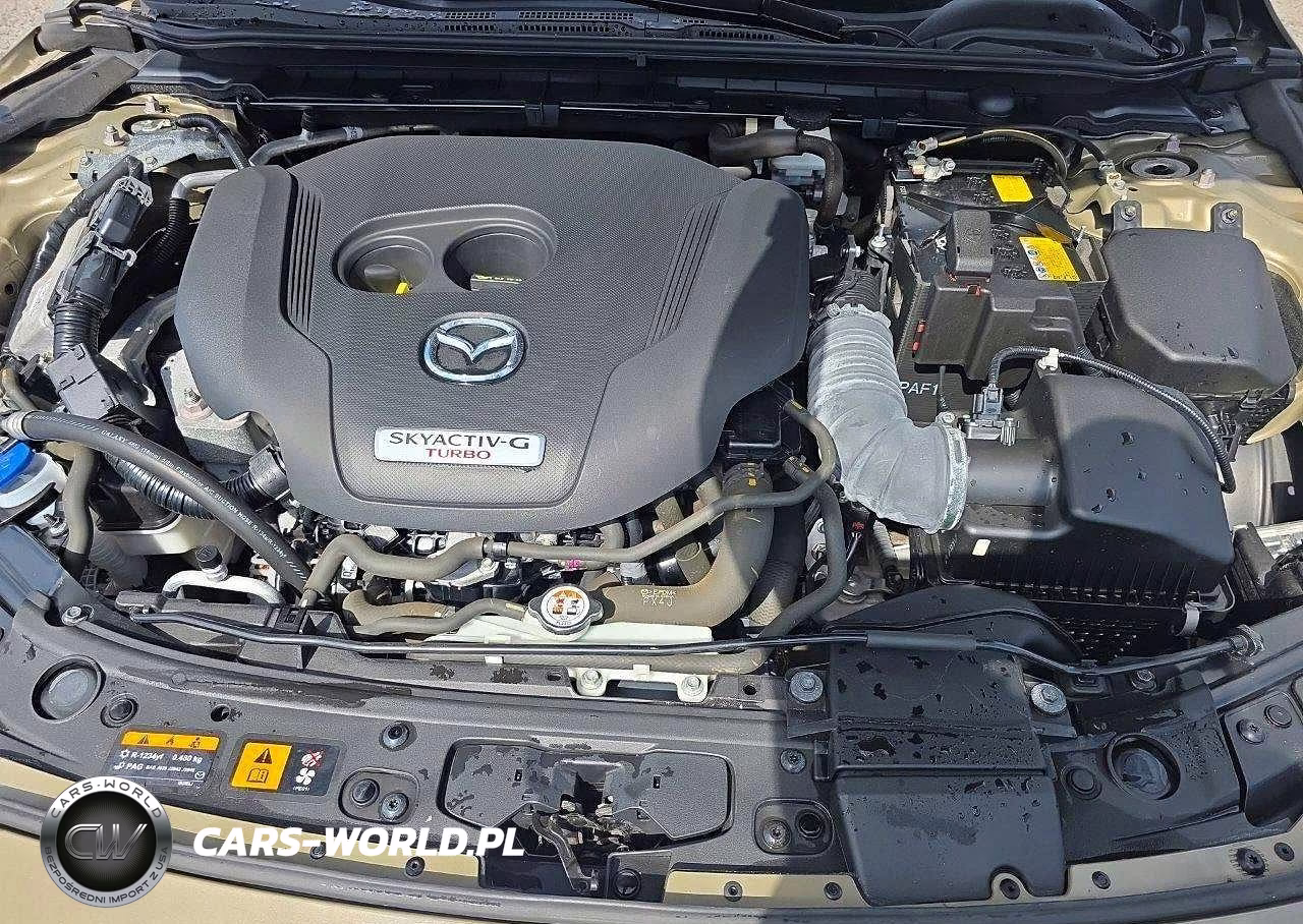 2025 Mazda 3 Carbon Turbo VIN:JM1BPBXYXS1756539 - 12