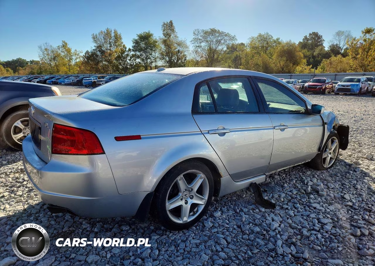 2006 Acura 3.2Tl VIN:19UUA66276A013116 - 3
