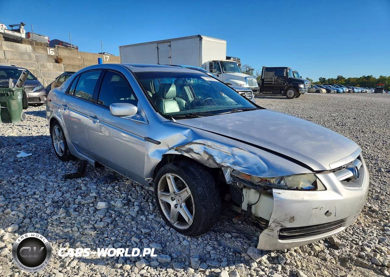 2006 Acura 3.2Tl VIN:19UUA66276A013116 - 4