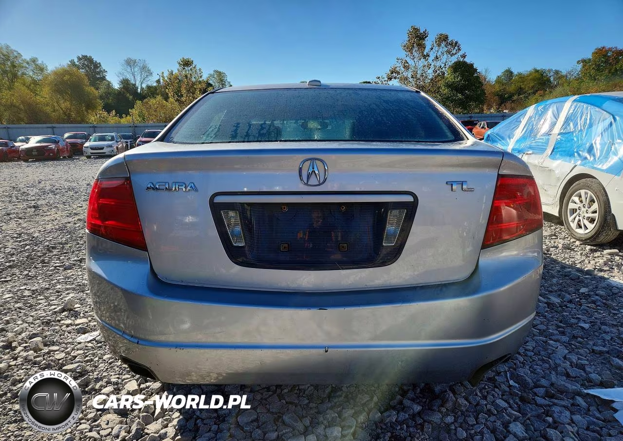 2006 Acura 3.2Tl VIN:19UUA66276A013116 - 6
