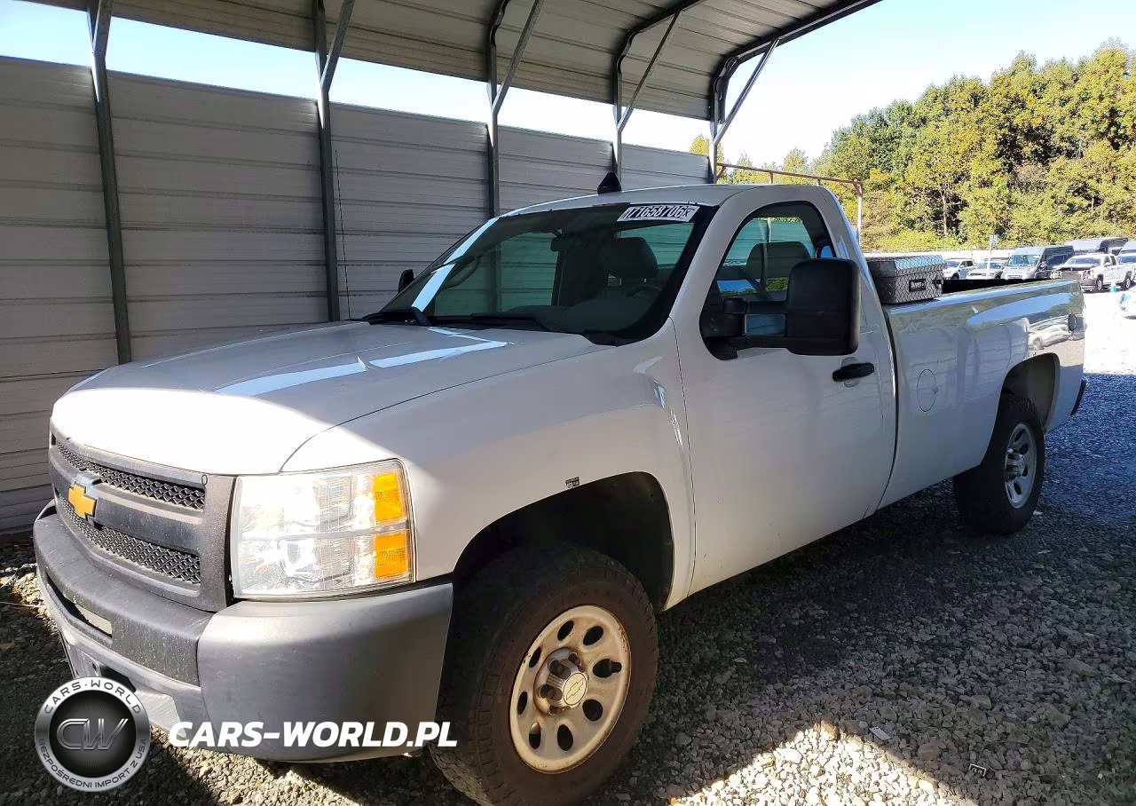 2013 Chevrolet Silverado C1500 VIN:1GCNCPEX6DZ900253 - 1