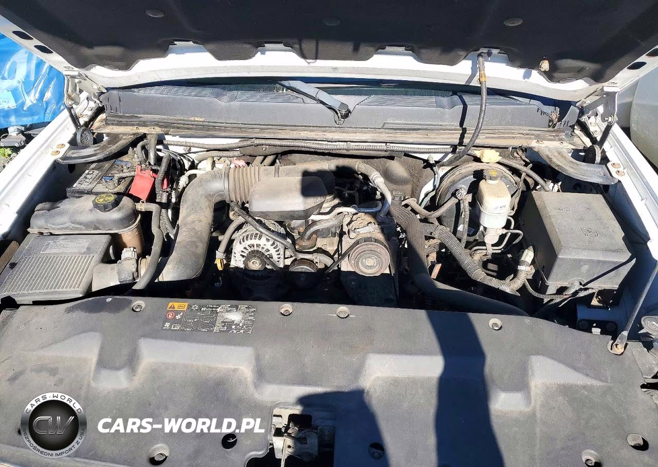 2013 Chevrolet Silverado C1500 VIN:1GCNCPEX6DZ900253 - 11