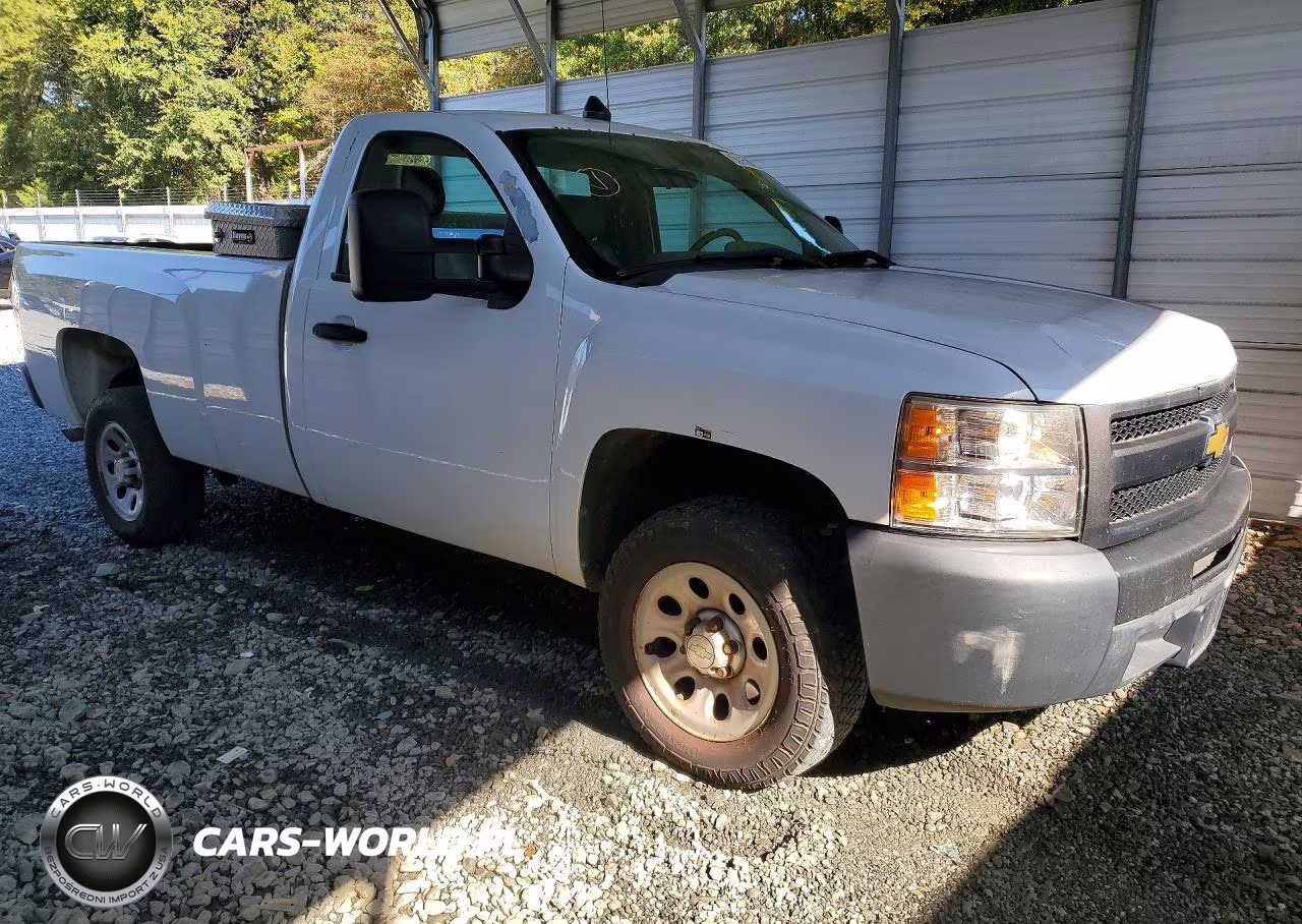 2013 Chevrolet Silverado C1500 VIN:1GCNCPEX6DZ900253 - 4