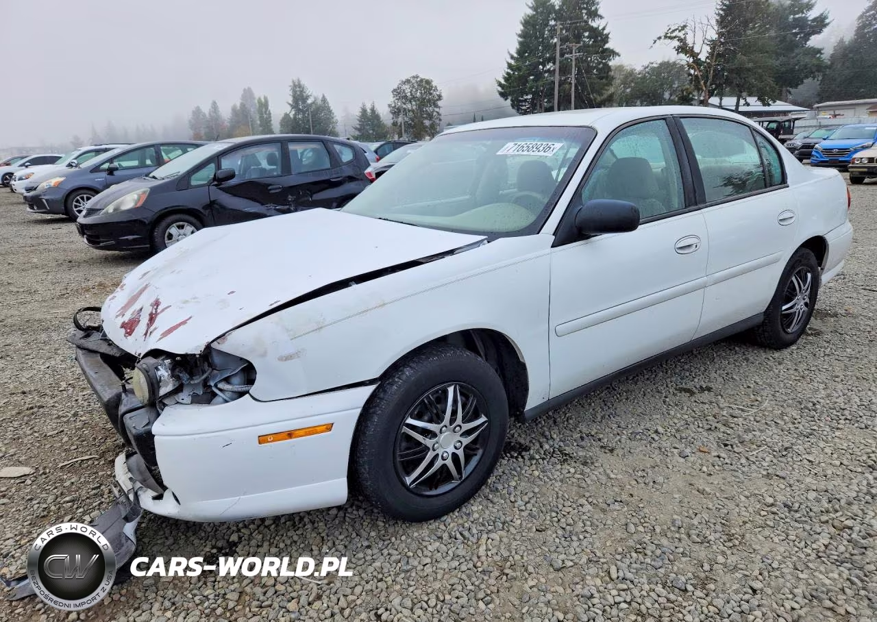 2004 Chevrolet Classic VIN:1G1ND52F24M643398 - 1
