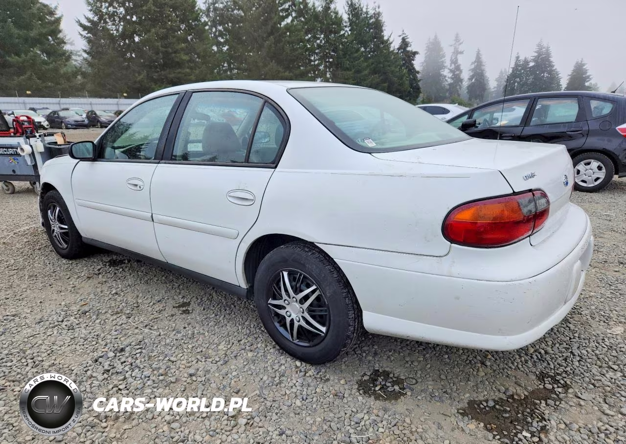 2004 Chevrolet Classic VIN:1G1ND52F24M643398 - 2
