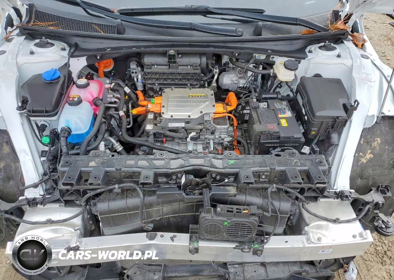 2024 Hyundai Ioniq 5 Sel VIN:KM8KNDDF7RU265192 - 11