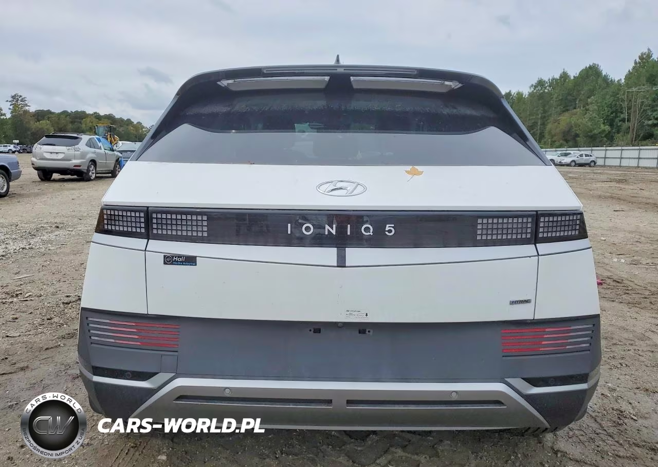 2024 Hyundai Ioniq 5 Sel VIN:KM8KNDDF7RU265192 - 6