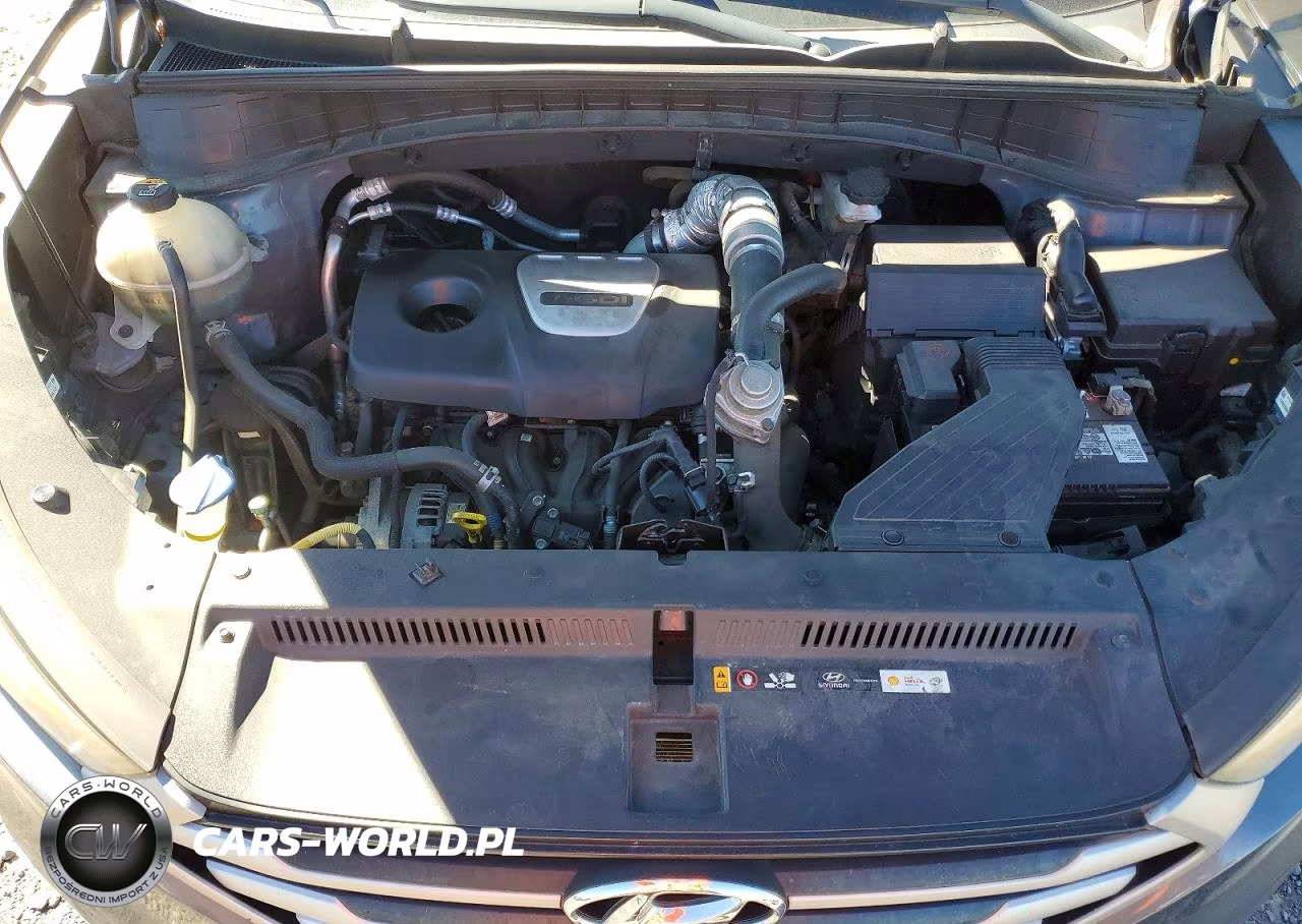 2017 Hyundai Tucson Eco VIN:KM8J3CA21HU435929 - 12