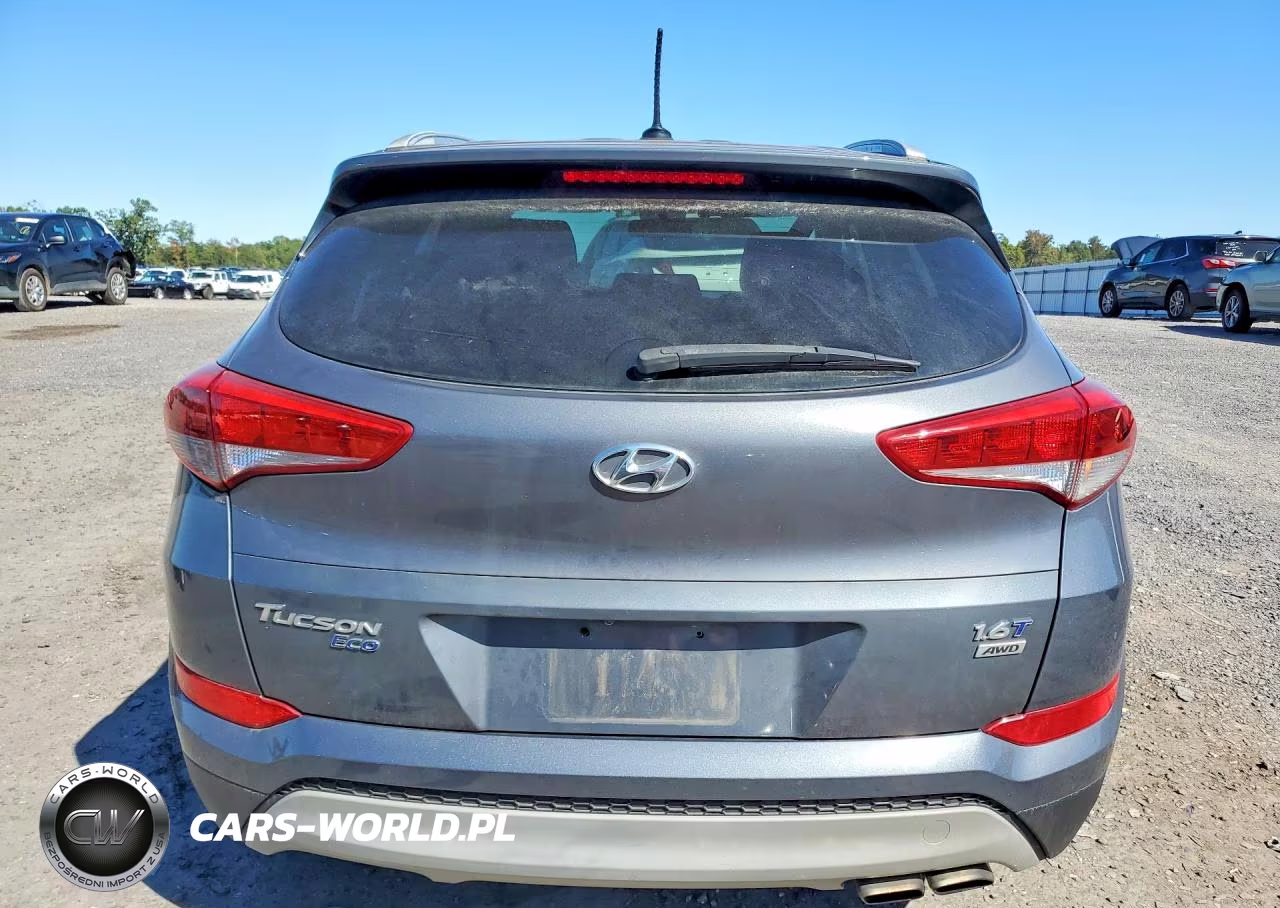 2017 Hyundai Tucson Eco VIN:KM8J3CA21HU435929 - 6