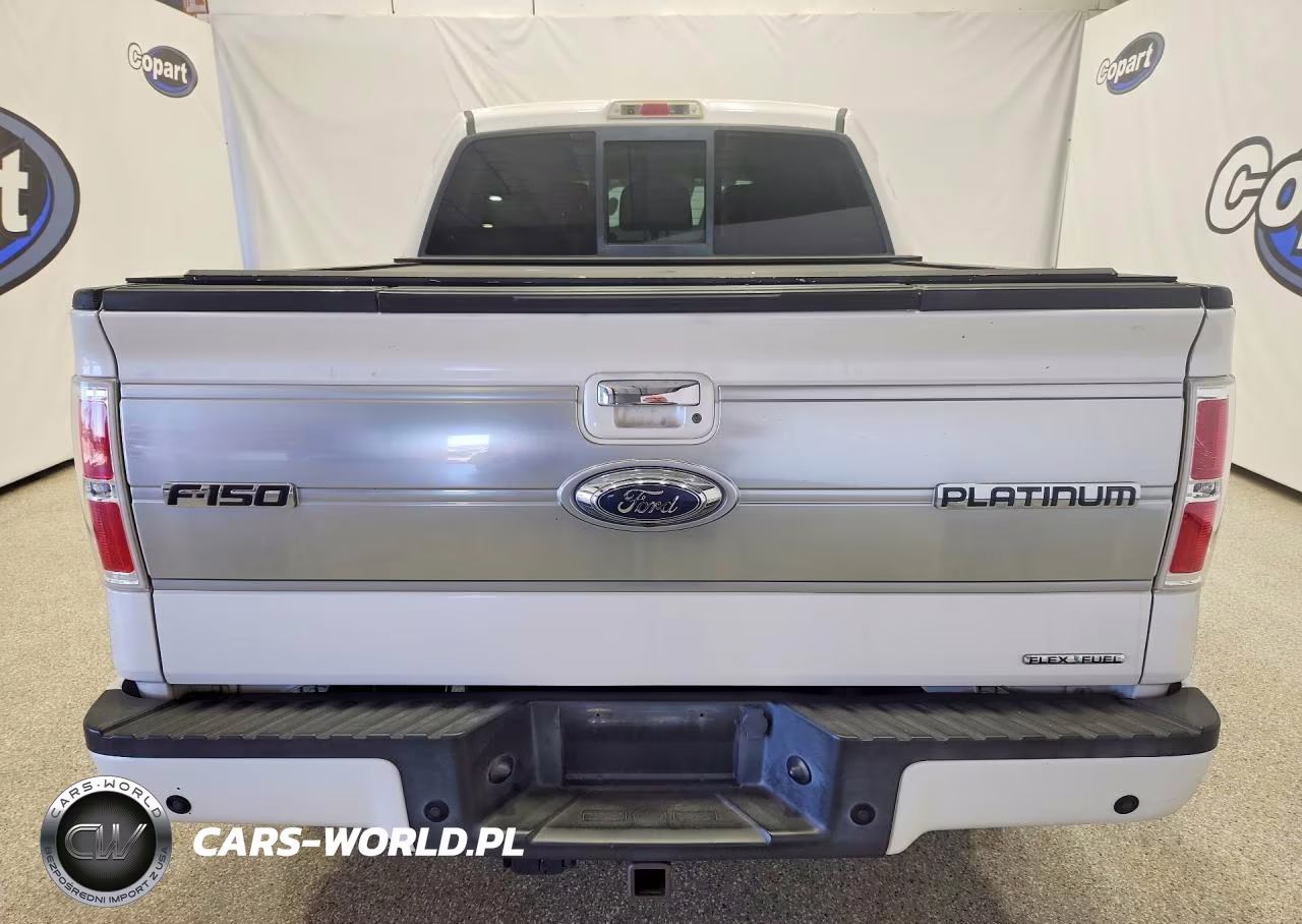 2011 Ford F150 Supercrew VIN:1FTFW1EF6BFD31807 - 6