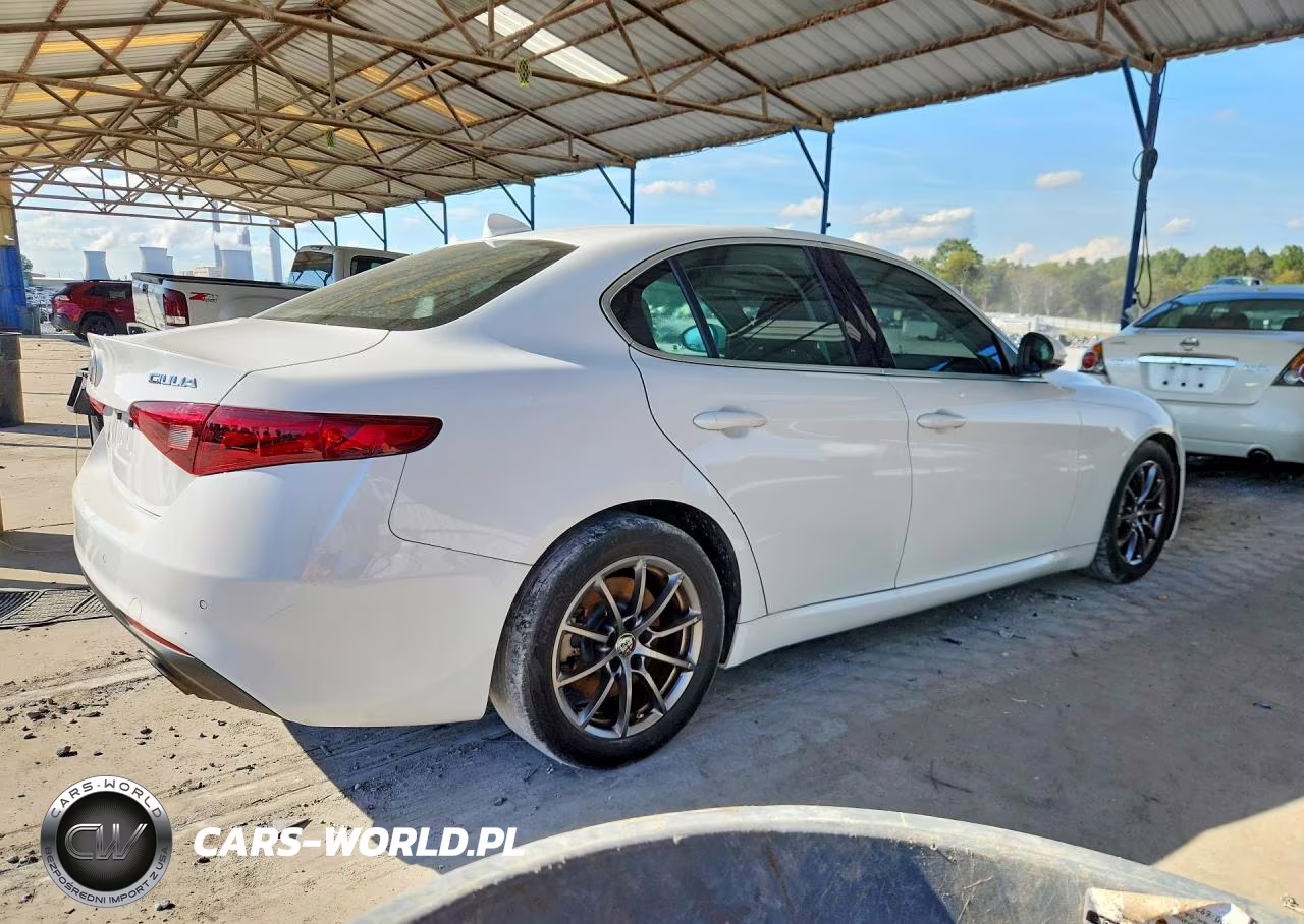 2019 Alfa Romeo Giulia Rwd VIN:ZARFAMAN6K7609649 - 3