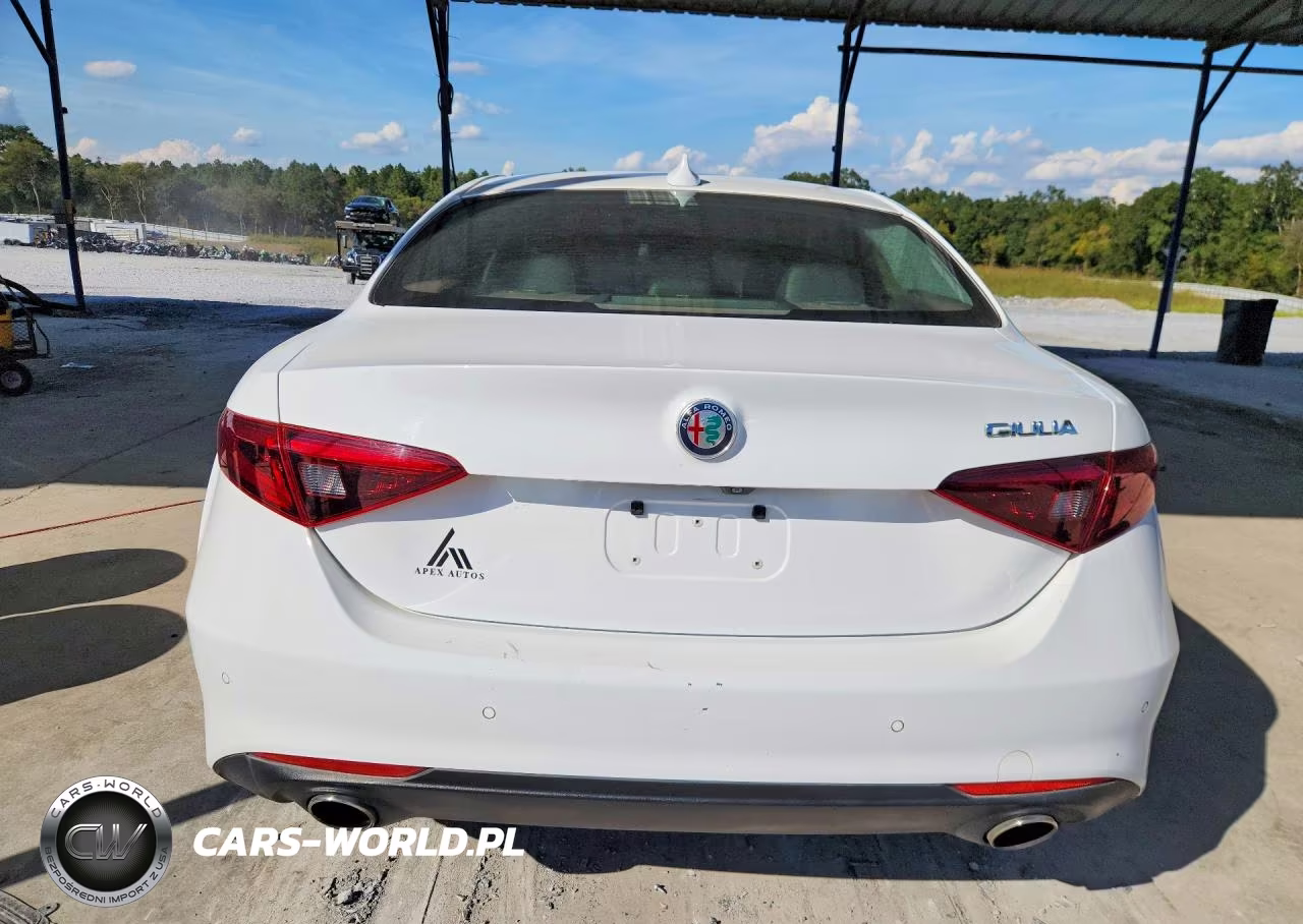 2019 Alfa Romeo Giulia Rwd VIN:ZARFAMAN6K7609649 - 6