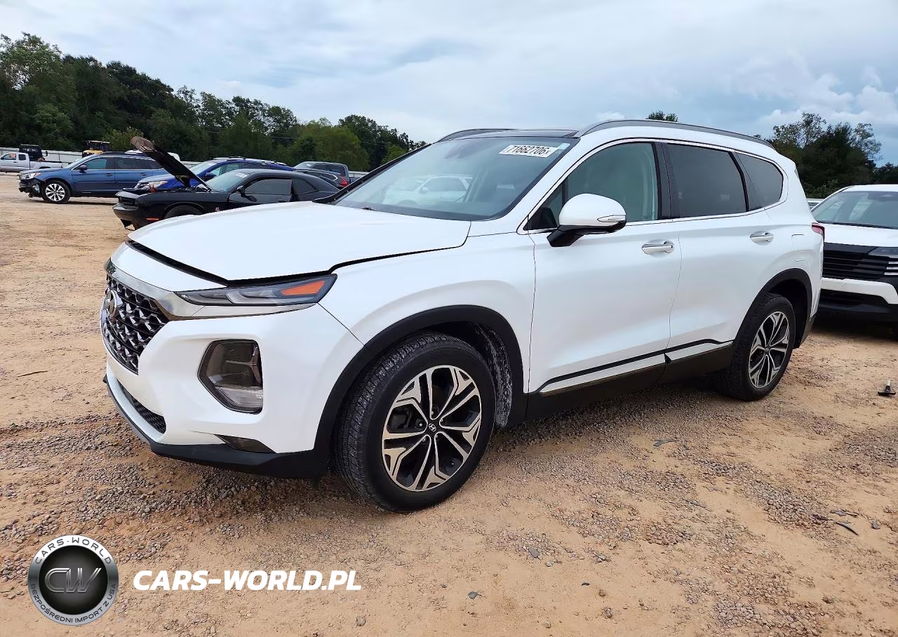 2020 Hyundai Santa Fe Limited 2.0T VIN:5NMS53AA6LH199496 - 1