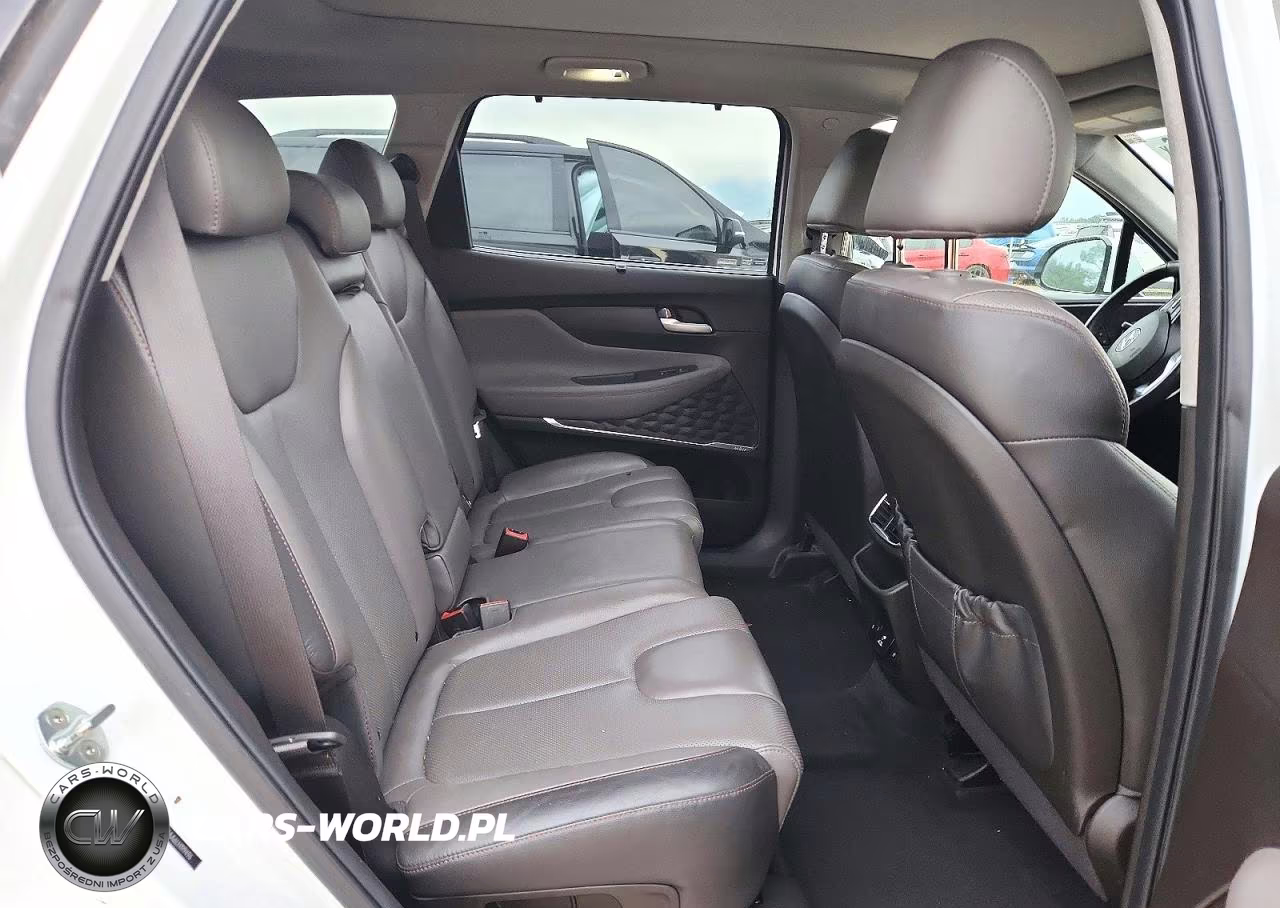 2020 Hyundai Santa Fe Limited 2.0T VIN:5NMS53AA6LH199496 - 10