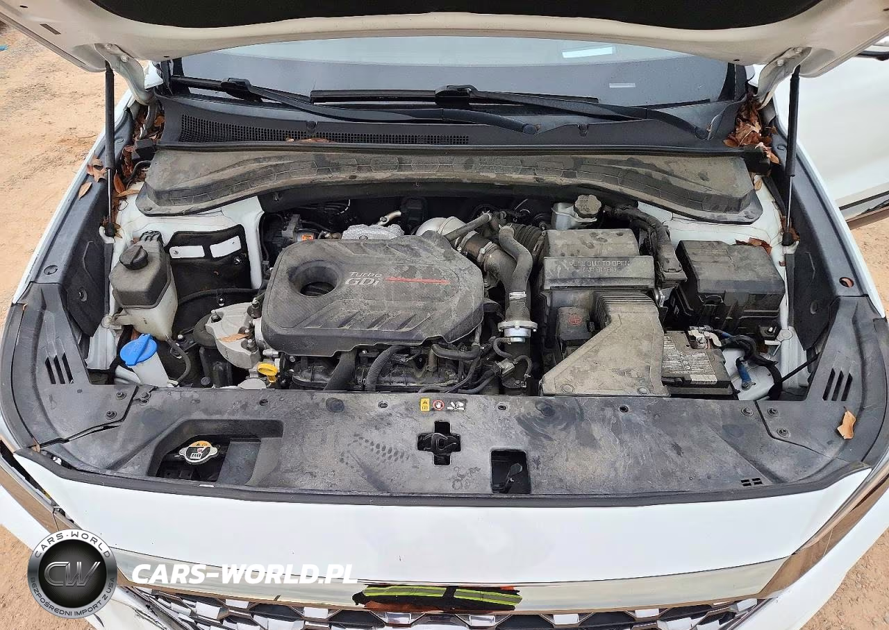 2020 Hyundai Santa Fe Limited 2.0T VIN:5NMS53AA6LH199496 - 11