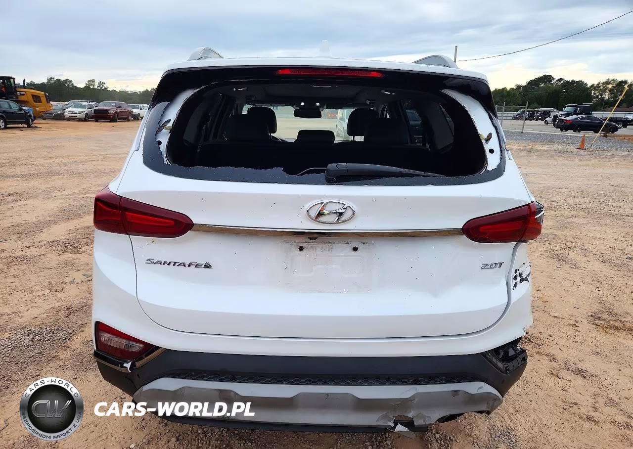 2020 Hyundai Santa Fe Limited 2.0T VIN:5NMS53AA6LH199496 - 6