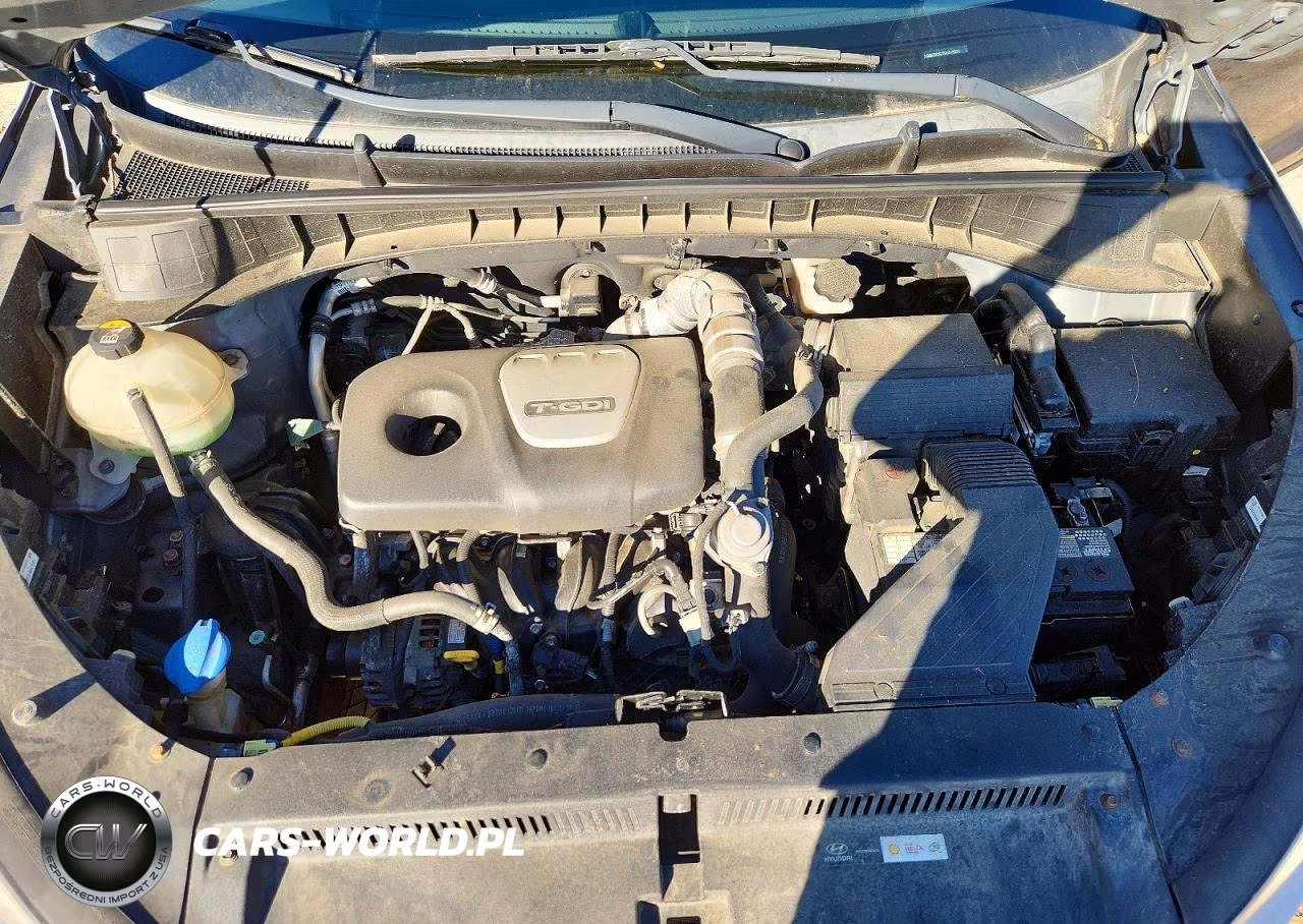 2017 Hyundai Tucson Eco VIN:KM8J3CA27HU419251 - 12