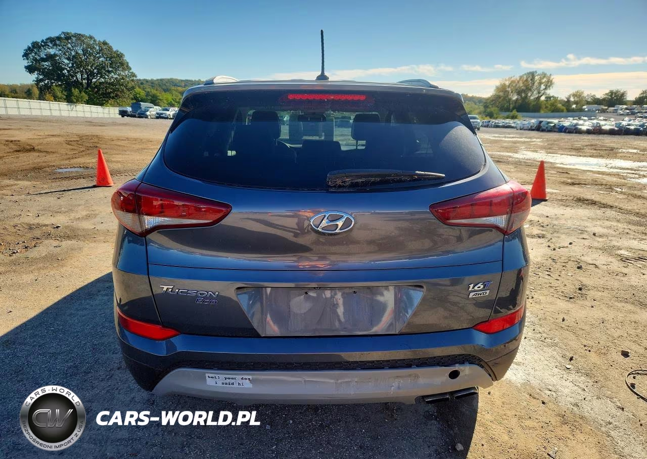 2017 Hyundai Tucson Eco VIN:KM8J3CA27HU419251 - 6