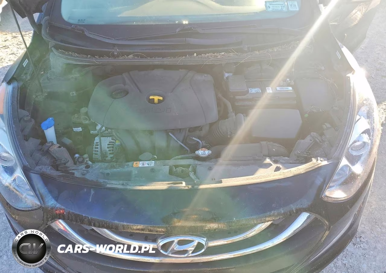2014 Hyundai Elantra Gt Base VIN:KMHD35LHXEU188920 - 11