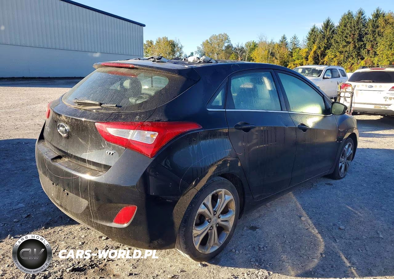 2014 Hyundai Elantra Gt Base VIN:KMHD35LHXEU188920 - 3