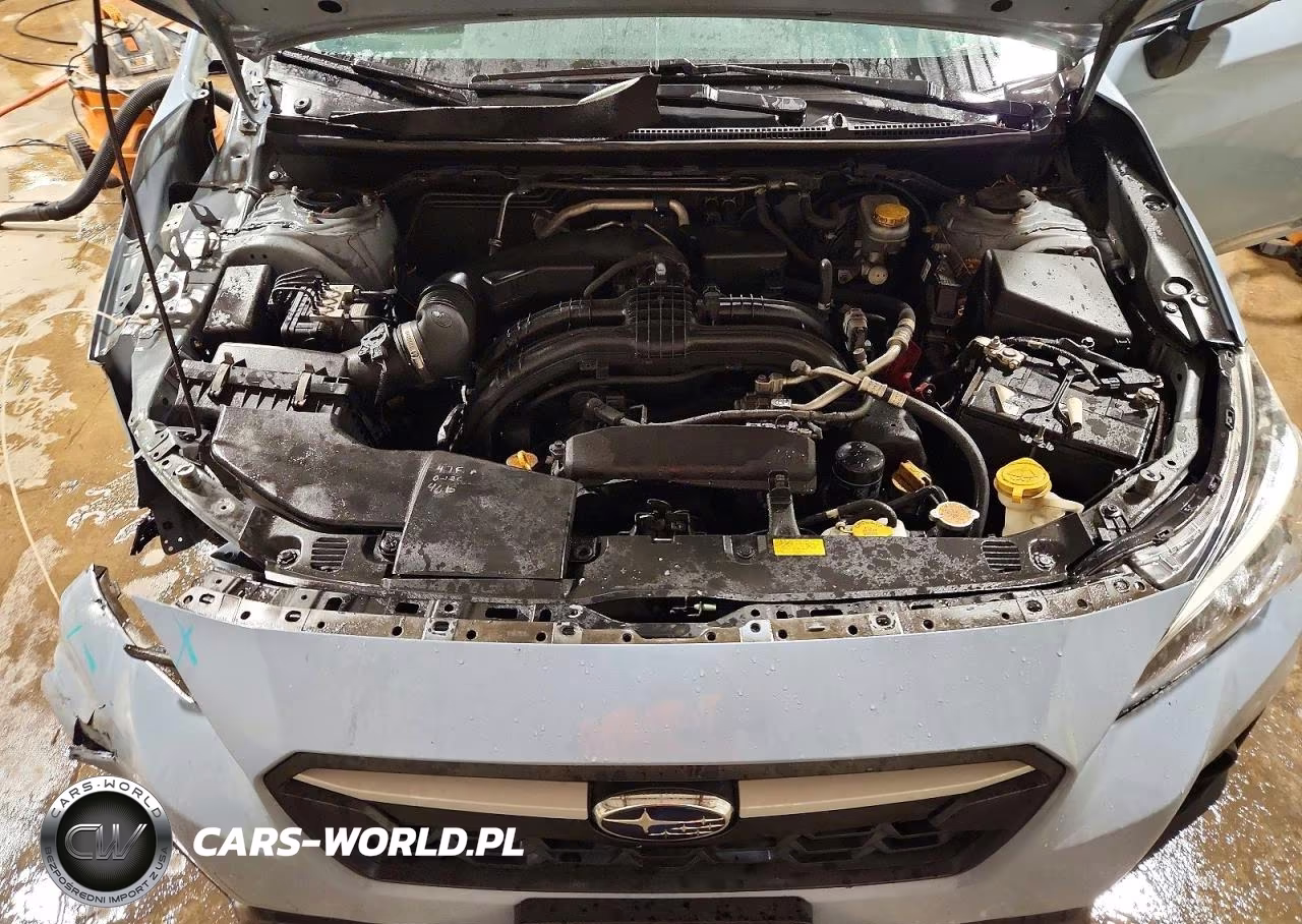 2019 Subaru Crosstrek Premium VIN:JF2GTACCXK8301981 - 11